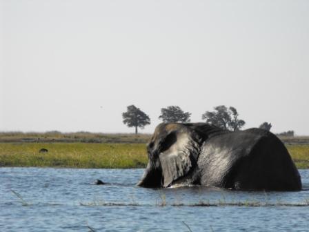 Botswana Safari Victoria Falls to Maun Safari